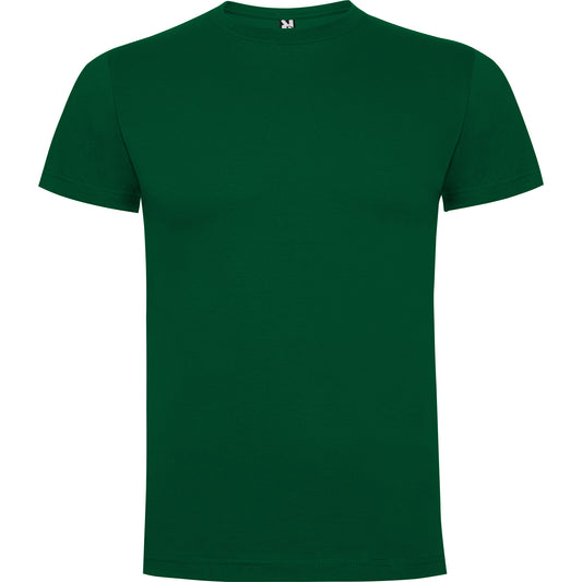verde bottiglia