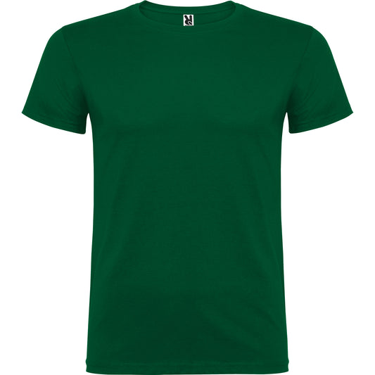 verde bottiglia
